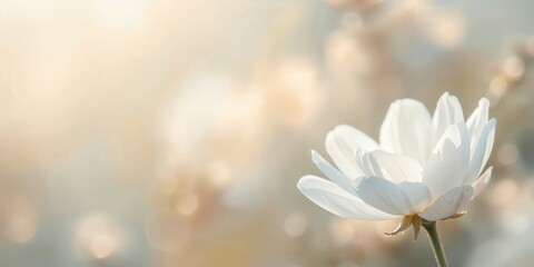 Navagio beach with a shipwreck on Zakynthos island, scenic coastal landscape for travel promotion