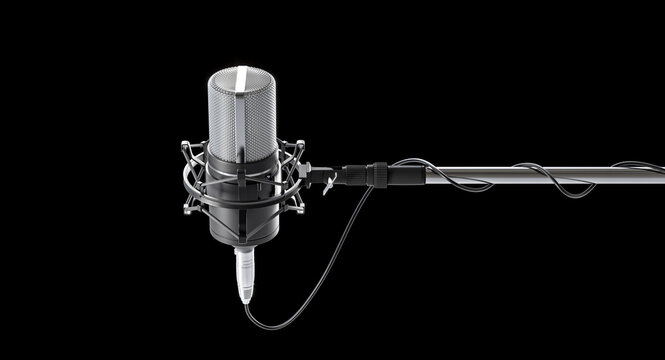 Professional studio condenser microphone 3d