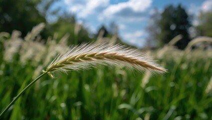 Fototapeta premium Close-up of fresh green grass blades in a garden plot