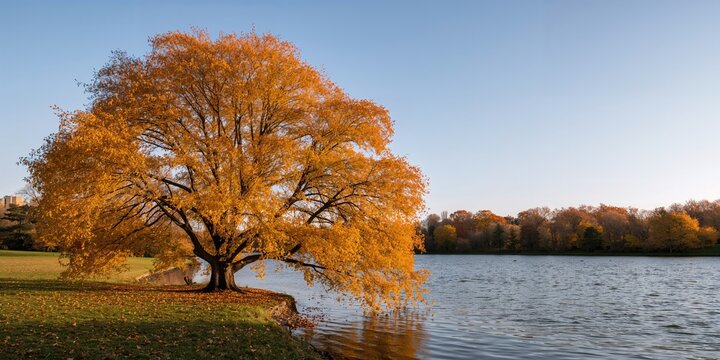 Green lentil and red bell pepper cucumber parsley salad in a bowl, emphasizing fiber-rich meals for healthy digestion - Powered by Adobe