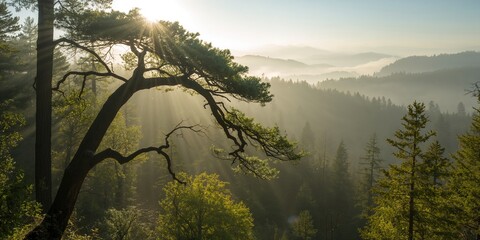 Chinese lanterns hanging during festival, used for cultural celebration and illumination