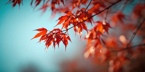 Vivid galaxy with vibrant colors in outer space, suitable as a cosmic background for text and design, Earth Day