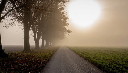 Autumnal tree lined road vanishing into morning fog with sun obscured by mist