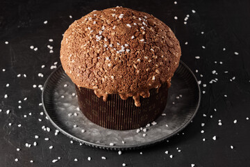 Christmas Italian cake panettone, soft traditional sweet bread with nuts, raisins and chocolate in a rustic plate with sugar decoration food photography