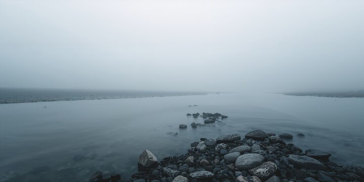 Fresh mint peppermint leaves with water drops, suitable as a background for herbal product branding