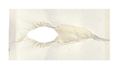 torn white paper create a delicate texture against a clean, minimalist background isolated on transparent background