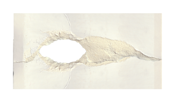 torn white paper create a delicate texture against a clean, minimalist background isolated on transparent background