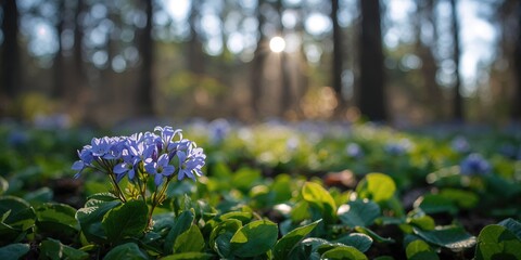 Bitcoin with binary code symbols representing digital currency security for technology events