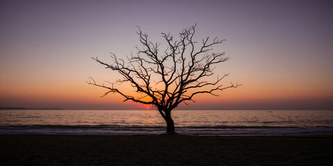 House number 50 with bronze numerals on a black wooden door featuring gold-edged panels, serving as a stylish entryway detail