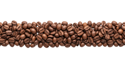 Perfectly Roasted Coffee Beans Arranged in a Straight Line on a White Background