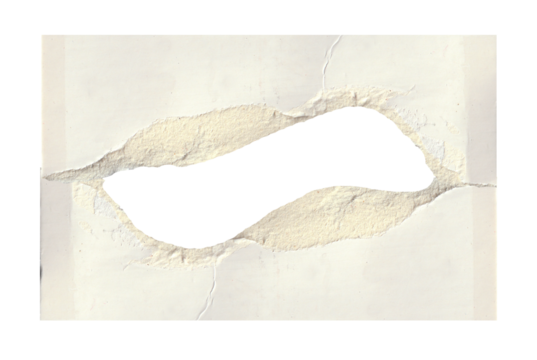 torn white paper create a delicate texture against a clean, minimalist background isolated on transparent background