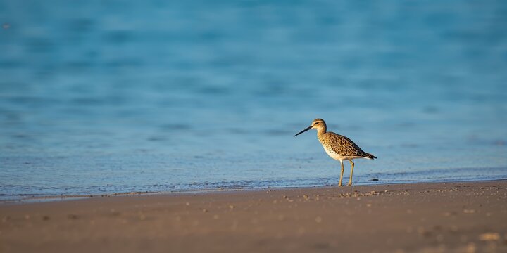 Closeup of sliced vegetables for a salad, emphasizing fresh produce for healthy eating, World Food Day