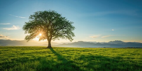 Obraz premium Vibrant summer scene with a tall lush tree bearing fruits, ideal for nature-themed background use