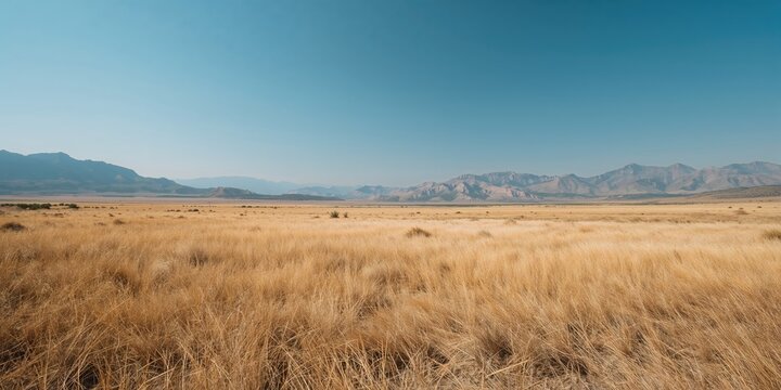 Fire burning in an open field close to an urban area during daylight, highlighting rural-urban interface risk