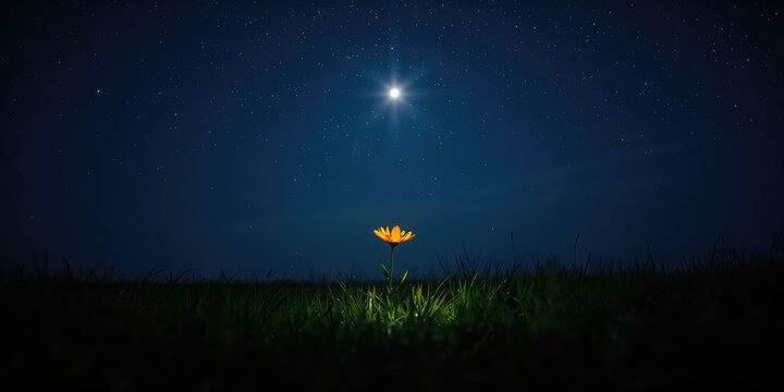 Monkeypox infection in a child showing hand symptoms, highlighting disease transmission risks, World Health Day