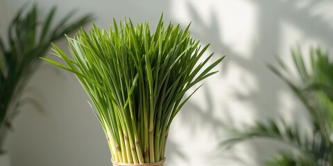 Woman seated with laptop on beach promenade watching sunset, emphasizing focus and relaxation during leisure time