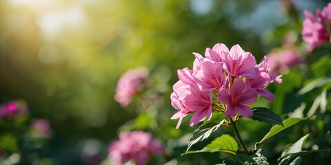 Obraz premium Retail scene with a Black woman selecting high heels during a sale event, emphasizing shopping efficiency and discount offers