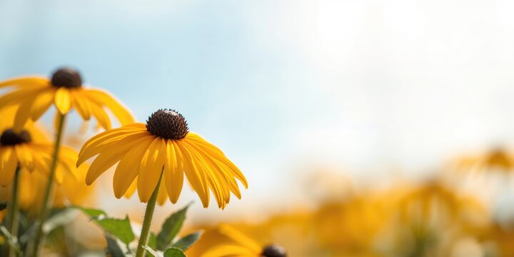 High-quality photo of a yellow elongated tomato, emphasizing its natural texture and color, suitable for culinary layout design
