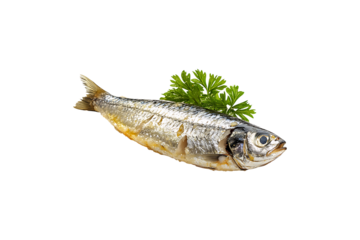 Cooked Silver Sardine with Herbs Garnish Isolated on a Transparent Background