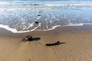 Tide washing around weathered wooden groynes on sandy shore