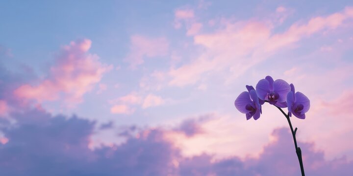 Color flakes on textured flooring create a decorative and durable resinous surface, suitable for industrial or commercial use