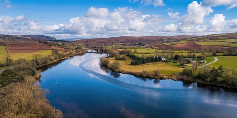 Close-up of manual macro photography of roses and flowers, emphasizing detailed textures and natural beauty