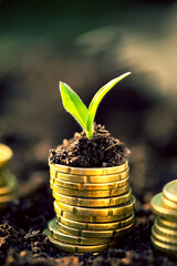 Golden coins in soil with young plant. Money growth concept.