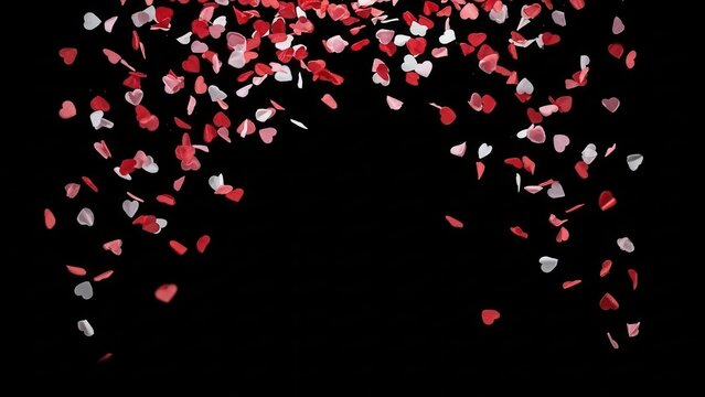 Falling Red and White Rose Petals on Black Background. - Powered by Adobe