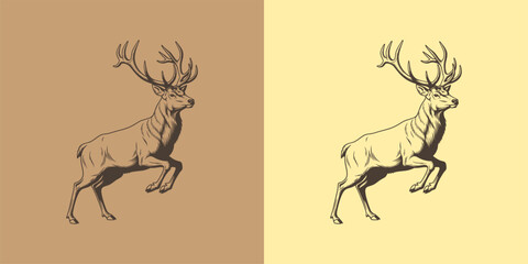 Elegant Reindeer Illustration on Split Background for Rustic and Nature-Themed Design