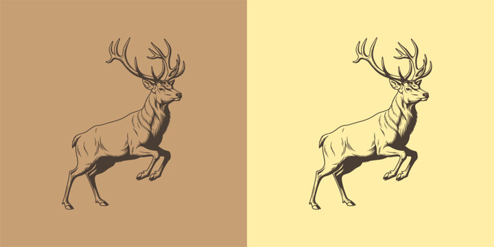 Elegant Reindeer Illustration on Split Background for Rustic and Nature-Themed Design