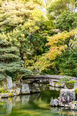 Peaceful Japanese garden with a wooden bridge spanning a pond and colorful trees