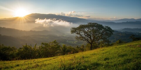 Fototapeta premium Small green planet with lush trees and open meadow under bright sun, emphasizing Earth's natural landscape, Earth Day