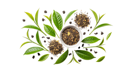 Loose Tea Leaves and Herbal Tea Ingredients Scattered on White Background