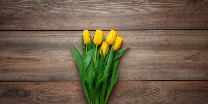 Bees gathering nectar on lotus leaves, emphasizing pollination activity during warm seasons, Earth Day