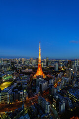 Panoramic night view of Tokyo Tower illuminated above the city skyline