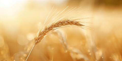 Naklejka premium Portrait of a woman using a smartphone on a park bench during autumn, emphasizing outdoor communication in seasonal settings