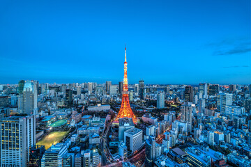 Panoramic night view of Tokyo Tower illuminated above the city skyline