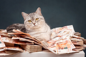portrait of a pretty girl on a dark background