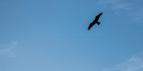 Obraz premium Large white round pills held in hands, emphasizing medication safety and handling practices