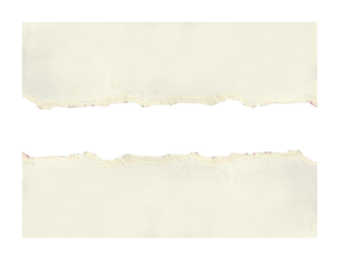 torn white paper create a delicate texture against a clean, minimalist background isolated on transparent background