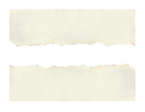 torn white paper create a delicate texture against a clean, minimalist background isolated on transparent background