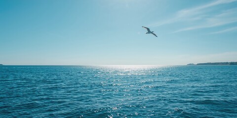 Closeup of violet waterlily on its leaf, emphasizing natural aquatic plant textures and coloration