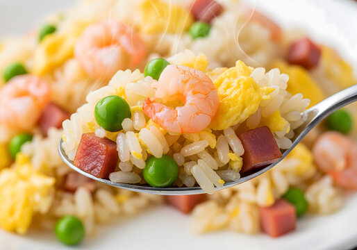 Crispy Texture of a Plate of Yangzhou Fried Rice
