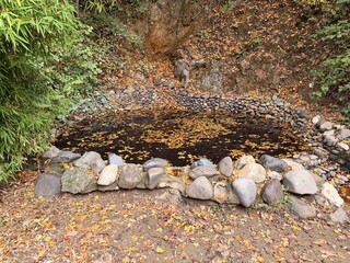 A natural pond in a forest, formed by nature, with rocks on the bank.