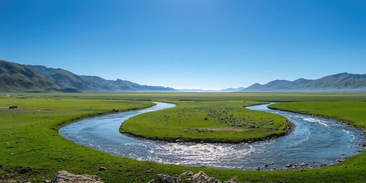 Autumn leaves spread across a banner background for seasonal design, suitable for layout and text placement