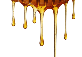 Golden honey dripping liquid sweet food nectar syrup dessert ingredient culinary deliciousness isolated on transparent background