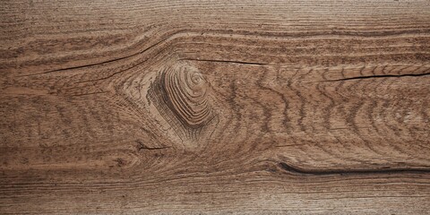 Naklejka premium Springtime dandelion bloom, seasonal change and flower growth visual