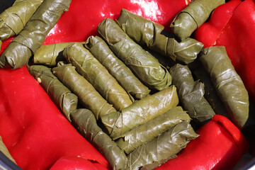 Dolmades. Stuffed grape leaves. Traditional delicious food