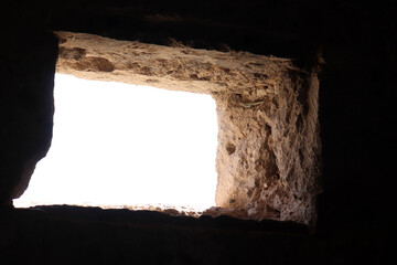 lizard in the window of the stone church