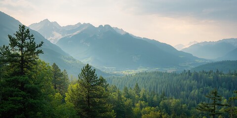 Sydney sea cliff bridge with rugged coastline, emphasizing natural erosion and seasonal coastal changes